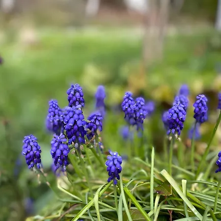 La Maison Du Chevalier - Et Tables D'hotes - Adults Only Marat