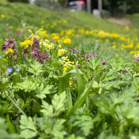 La Maison Du Chevalier - Et Tables D'hotes - Adults Only לינה וארוחת בוקר 3*