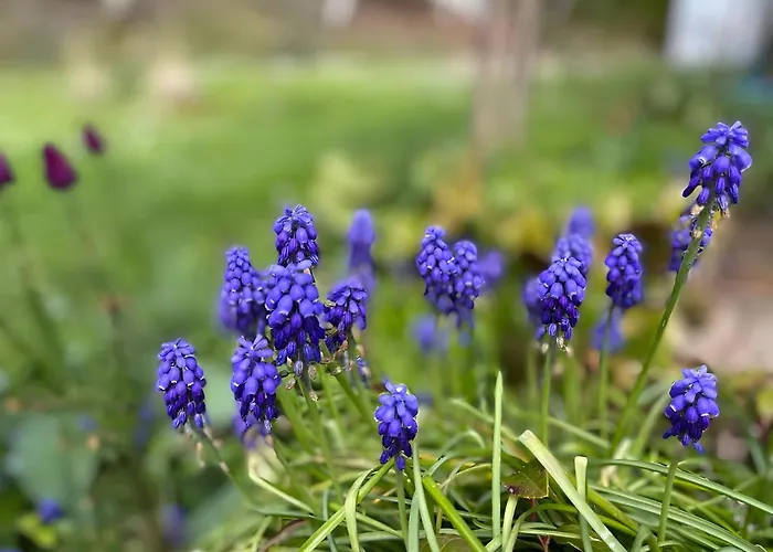 La Maison Du Chevalier - Et Tables D'hotes - Adults Only Мара