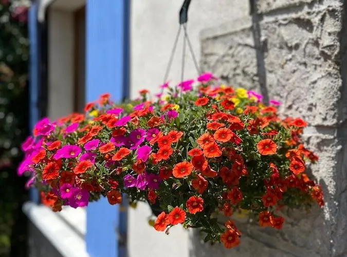 La Maison Du Chevalier - Et Tables D'hotes - Adults Only Отель типа 