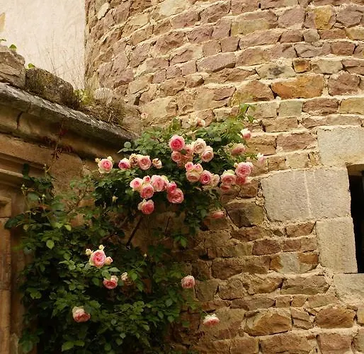 La Maison Du Chevalier - Et Tables D'hotes - Adults Only